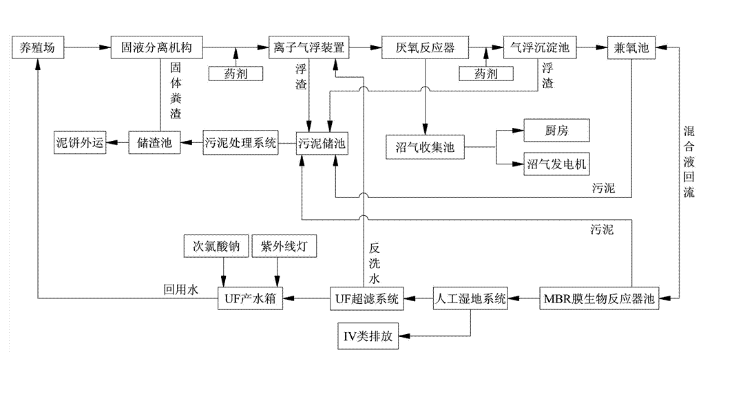 农村养殖户如何低成本有效处理污水，这两种做法你应该知道!02