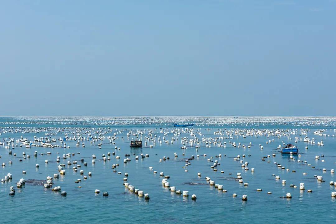 海水水产养殖废水处理方法|工艺流程|排放标准-1