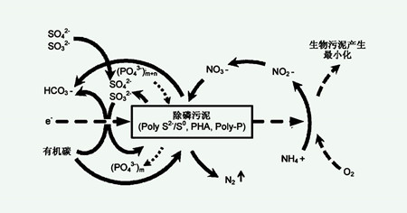 四种主要的生物脱氮工艺（生物脱氮的过程及原理）