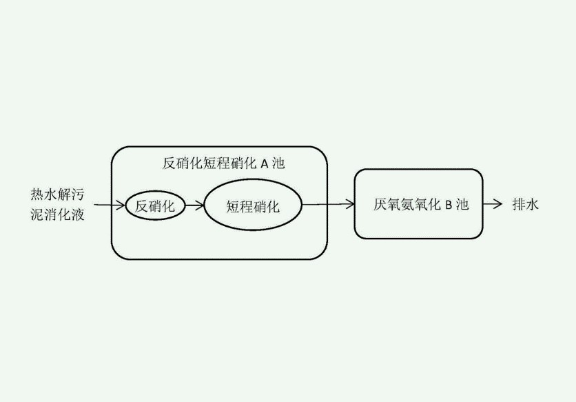 短程硝化反硝化原理（短程硝化反硝化和厌氧氨氧化区别）