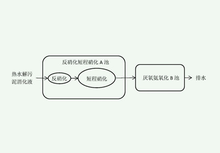 短程硝化反硝化原理（短程硝化反硝化和厌氧氨氧化区别）