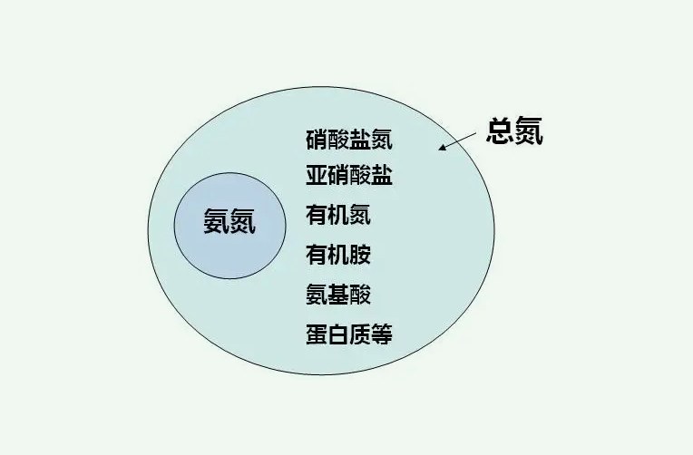 氨氮和总氮的关系是什么（什么是氨氮什么是总氮）