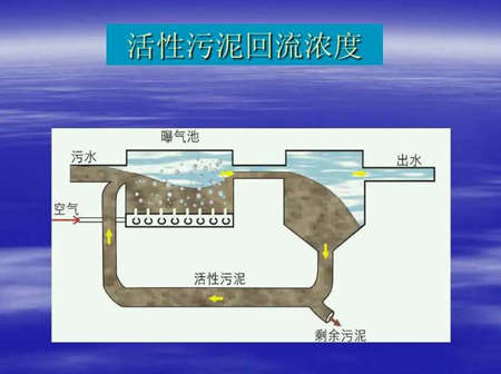 污泥回流比一般控制在多少（污水处理回流比怎么算）