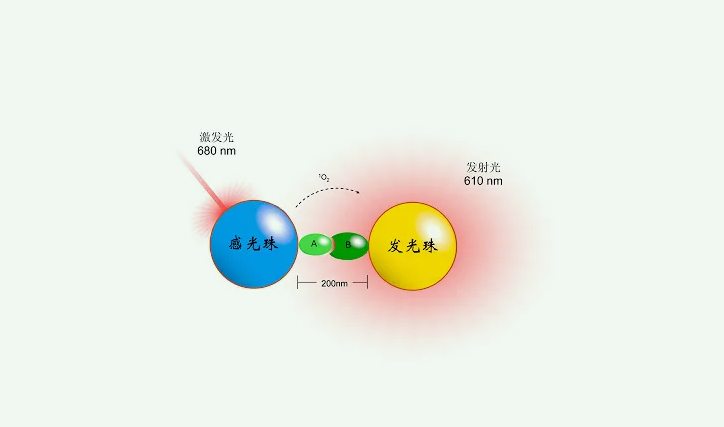 化学发光法准确度高吗（化学发光法是什么原理）